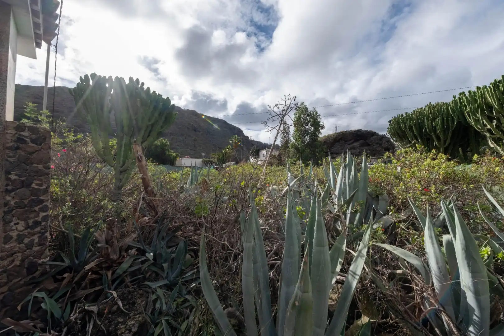 Casa o chalet en venta en Calle FUENTE MORALES, Almatriche