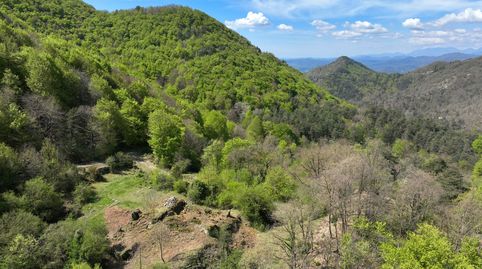 Foto 3 de Finca rústica en venda a Camí de Palou Xic, 1, Vidrà, Girona