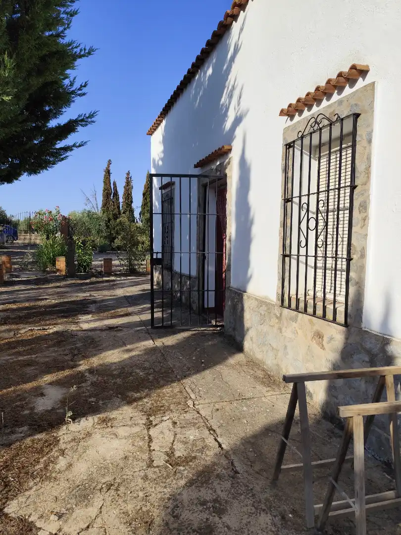 Terreno rustico in vendita a Fuente del Maestre, imagen 5