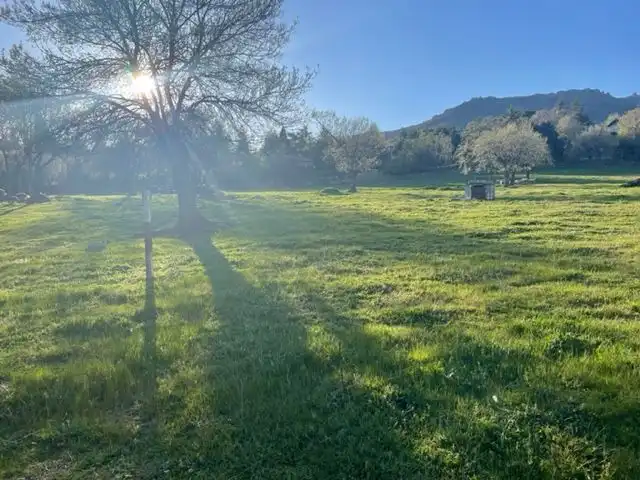 Residential land for sale in Calle del Pozo, imagen 10