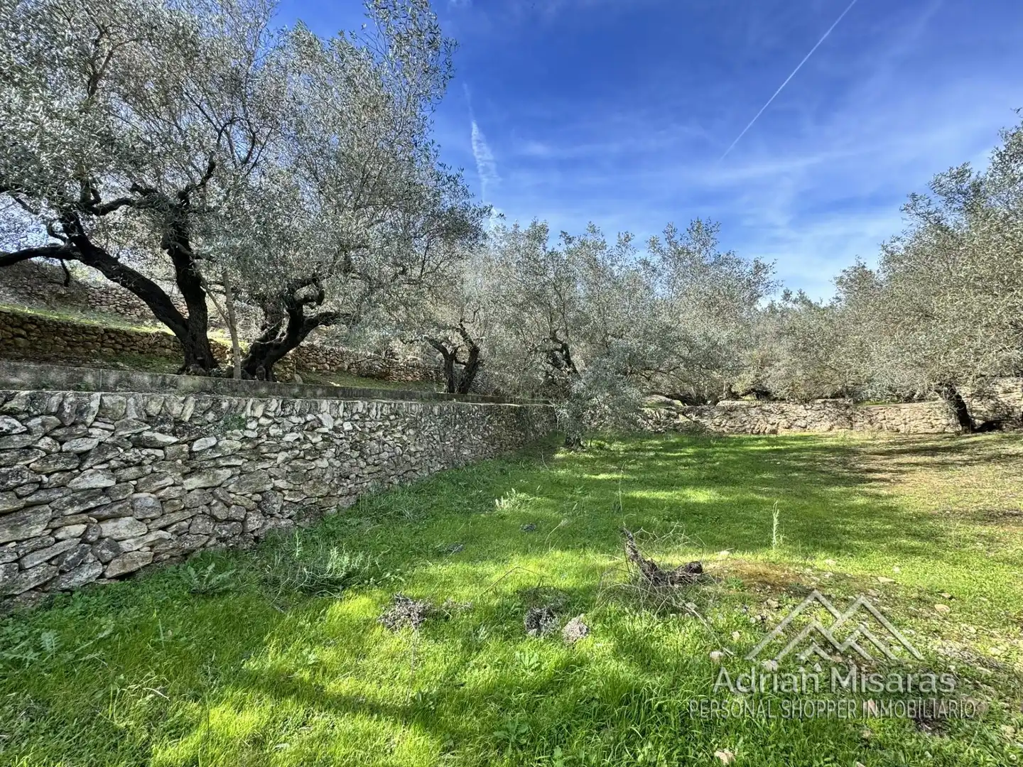 Terreno rústico en venta en L'Aldea, imagen 42