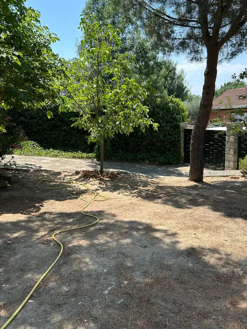 Jardín de Casa o chalet en venta en Colmenarejo con Calefacción, Jardín privado y Terraza