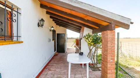 Foto 4 de Finca rústica en venta en Deltebre, Tarragona