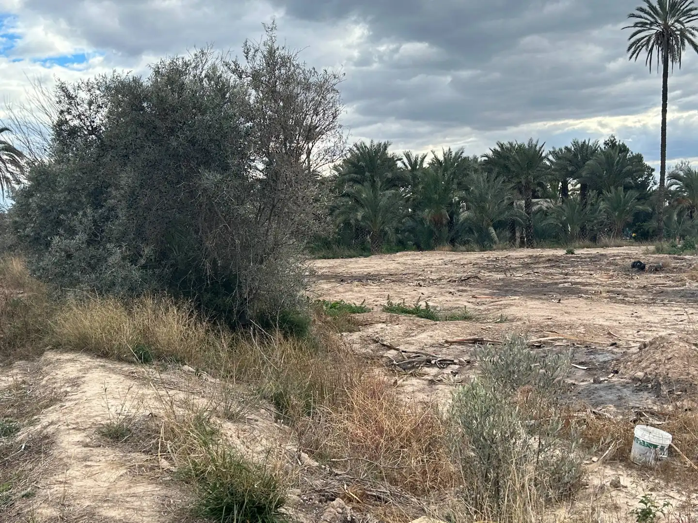 Casa o xalet en venda a Polígono 1, Elche de la Sierra