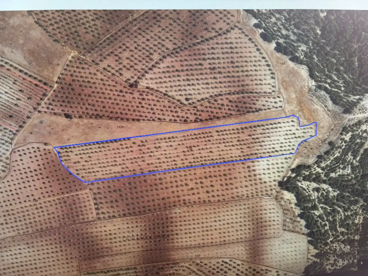 Terreno en venta en Hinojares