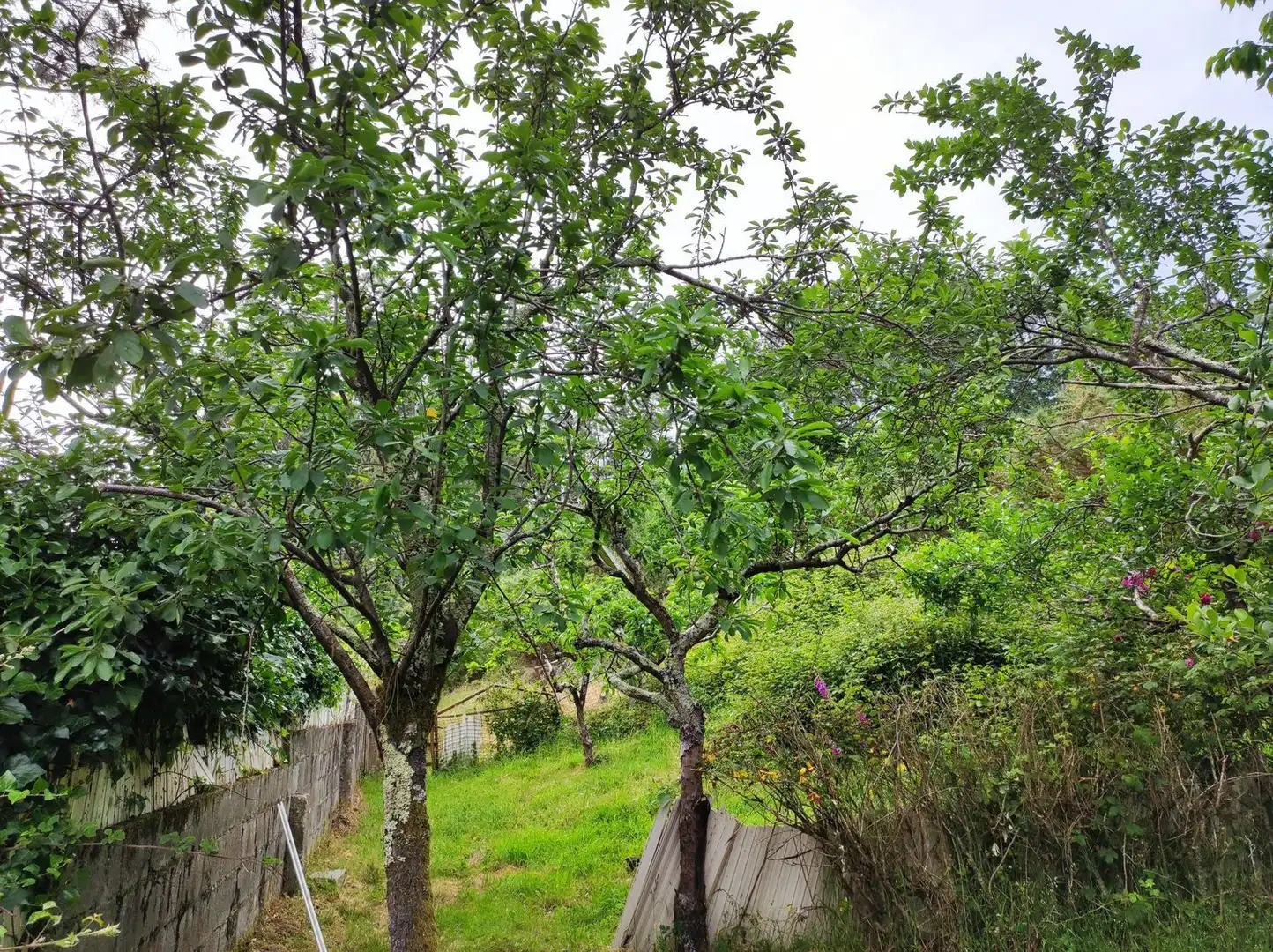 Villa avec jardin à vendre à Nabeiras, imagen 20