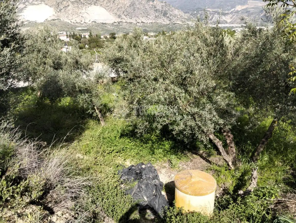 Rural land for sale in Dúrcal, imagen 21