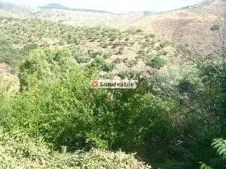 Terrenys i solars en venda a PARAJE JABONEROS Y OTROS