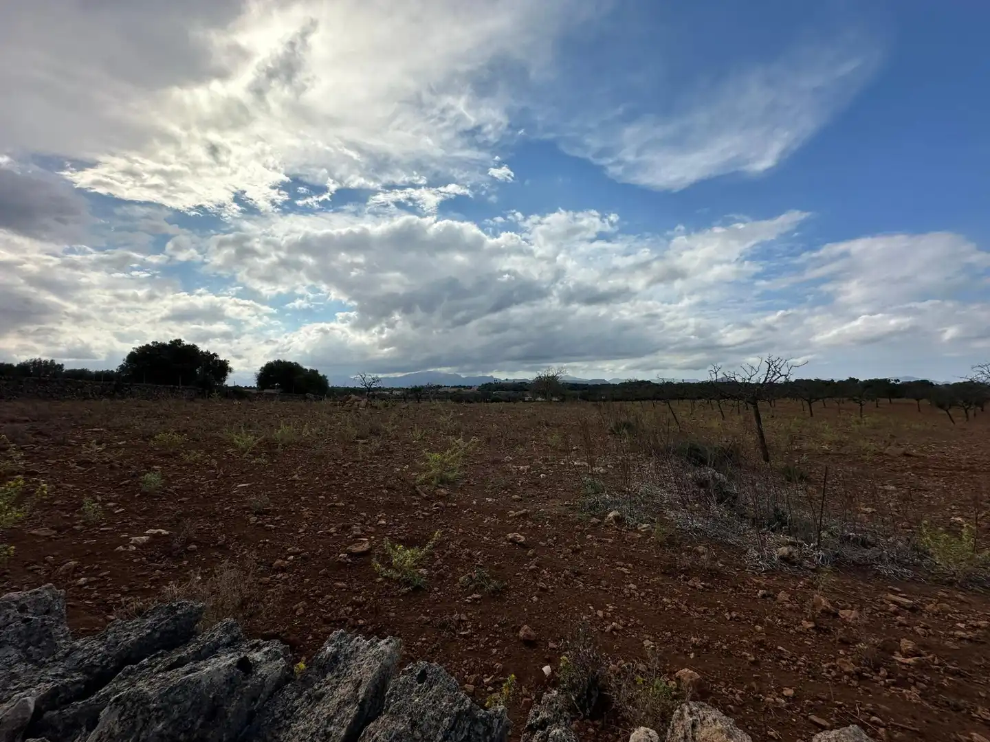 Terrain rustique à vendre à Muro, imagen 7