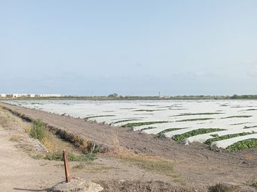 Terreno rustico in vendita a Carrer de Casablanca 41