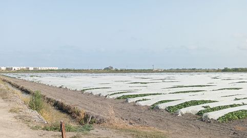 Finca agrícola de regadío en Almenara en producción