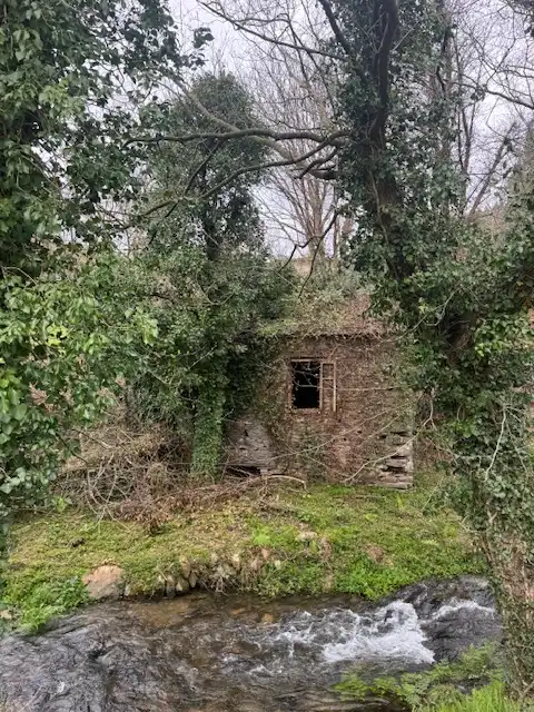 Vista exterior de Finca rústica en venta en Castropol