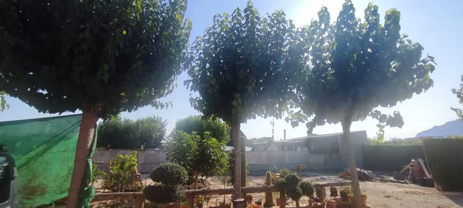 Jardí de Casa o xalet en venda en Orihuela amb Aire condicionat, Calefacció i Jardí privat