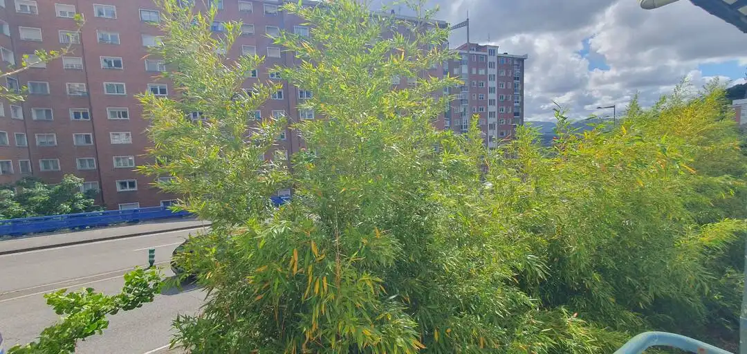 Vista exterior de Casa adosada en venda en Bilbao  amb Aire condicionat, Calefacció i Jardí privat