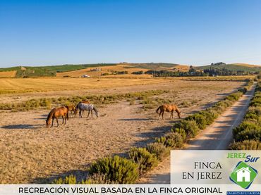 Terreny rústic en venda a Santiago - Coronación
