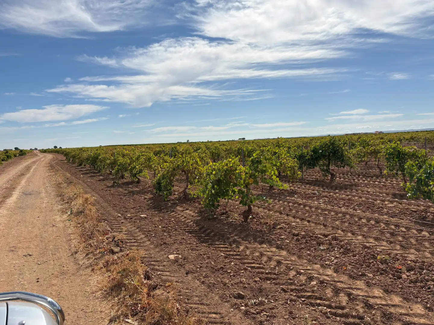 Rural land for sale in CM-400 580, imagen 41