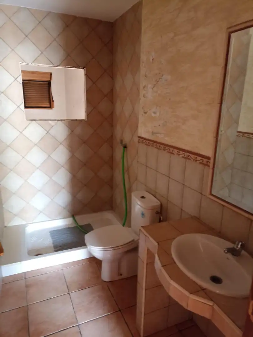 Bathroom of Houses for sale in Alicante / Alacant  with Private garden and Terrace