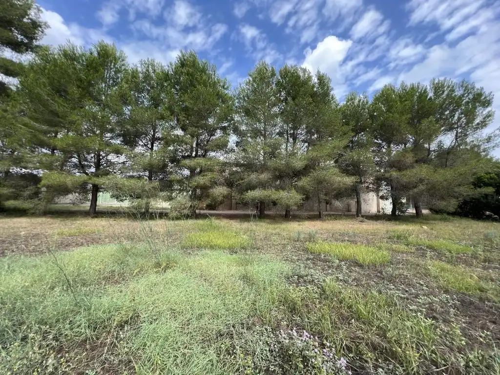 Terreny residencial en venda a Alberic, imagen 9