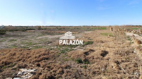Finca rústica en venta en Catral Alicante