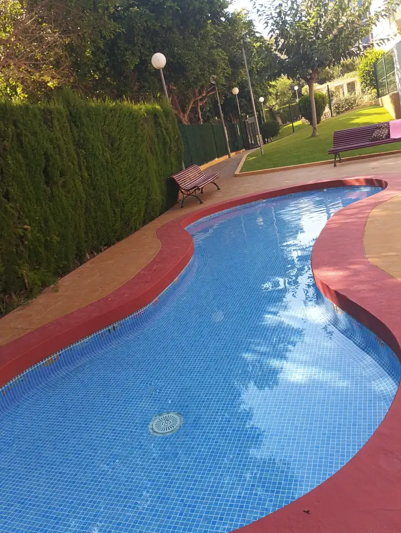 Swimming pool of Apartments for sale in Benidorm  with Air Conditioner, Heating and Private garden