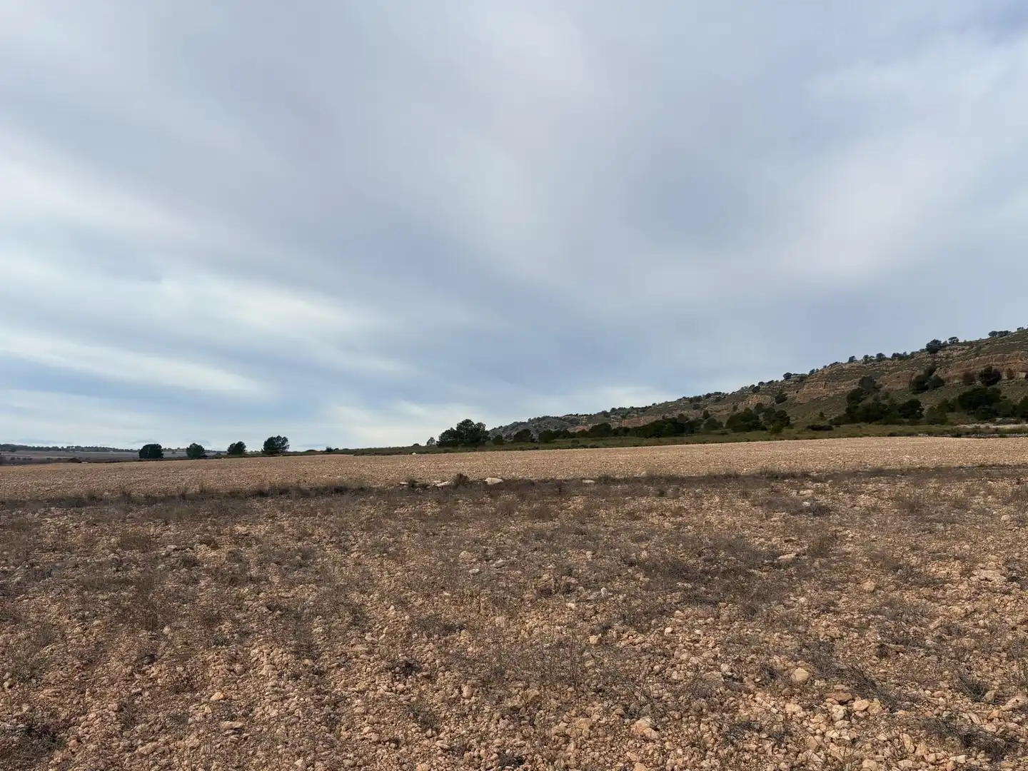 Finca rústica en venta en Ontur