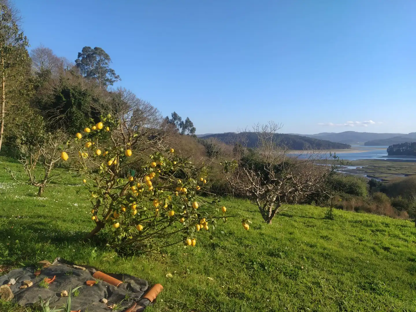 Garden of Houses for sale in Cariño  with Private garden, Parquet flooring and Terrace