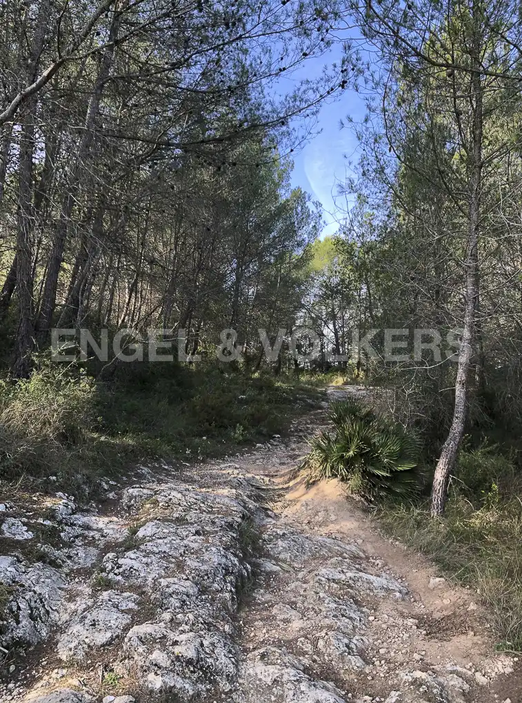 Terreny residencial en venda a Avinyonet del Penedès, imagen 8