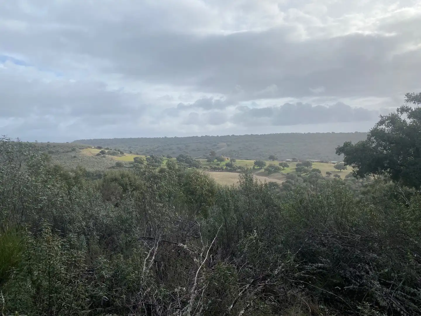 Terreno en venta en Anchuras