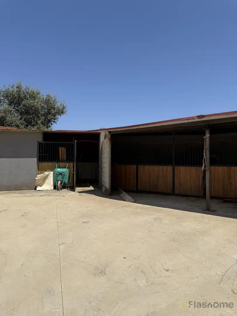 Vista exterior de Finca rústica en venta en San Pedro de Mérida con Amueblado