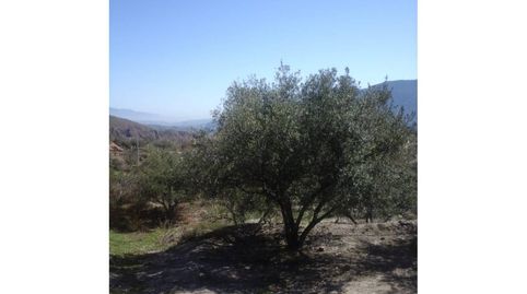 Finca rustica en venta en Canjáyar, immagine 3