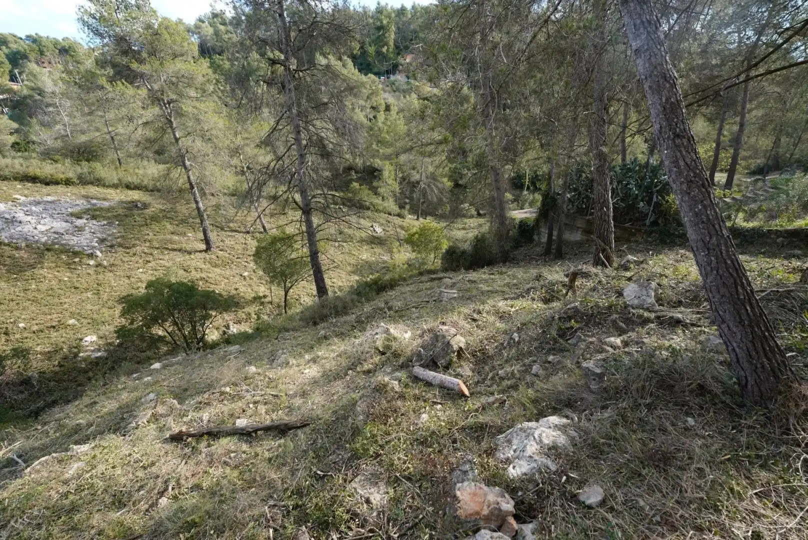 Terrenys i solars en venda a Olesa de Bonesvalls, imagen 11