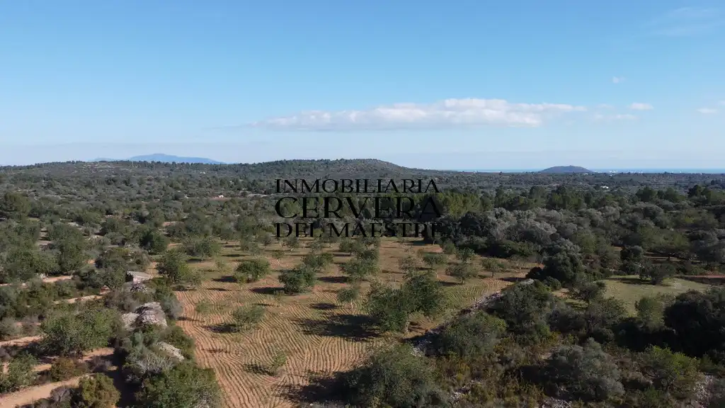 Terreno rustico in vendita a Cervera del Maestre