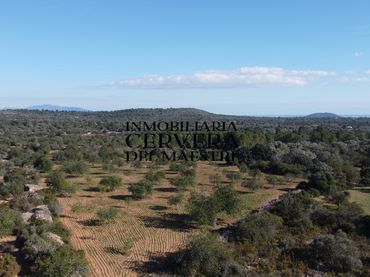 Terreno rústico en venta en Cervera del Maestre