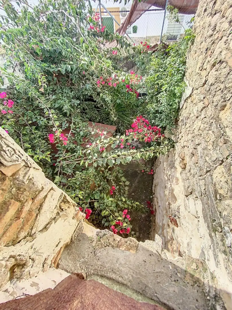Jardí de Casa o xalet en venda en Medina Sidonia amb Terrassa, Moblat i Balcó