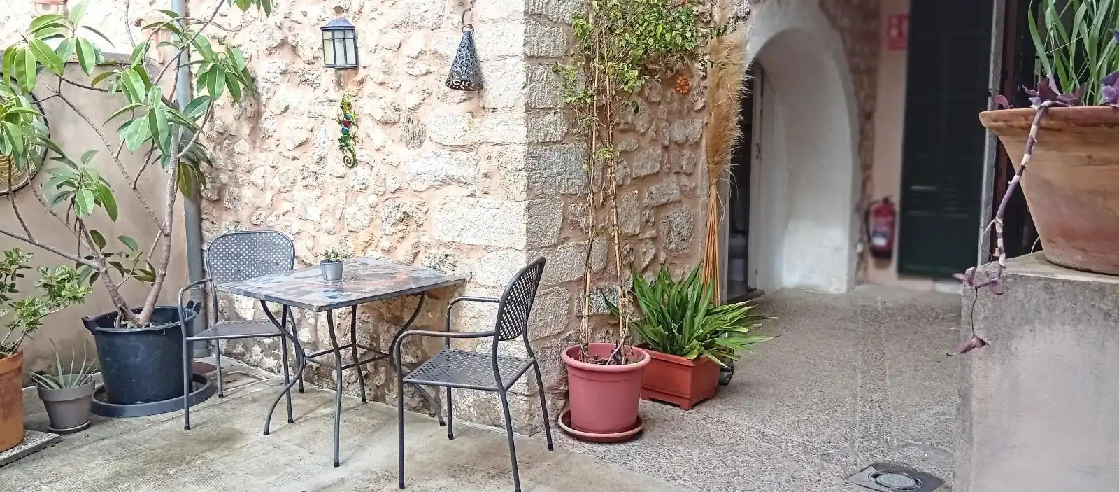 Terrace of Commercial properties for rent in Selva  with Terrace