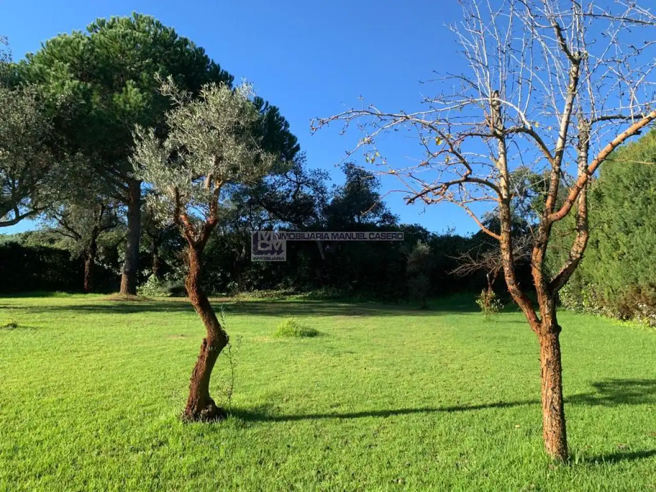 Chalet con piscina en venta en COMARCA DE GATA, imagen 7