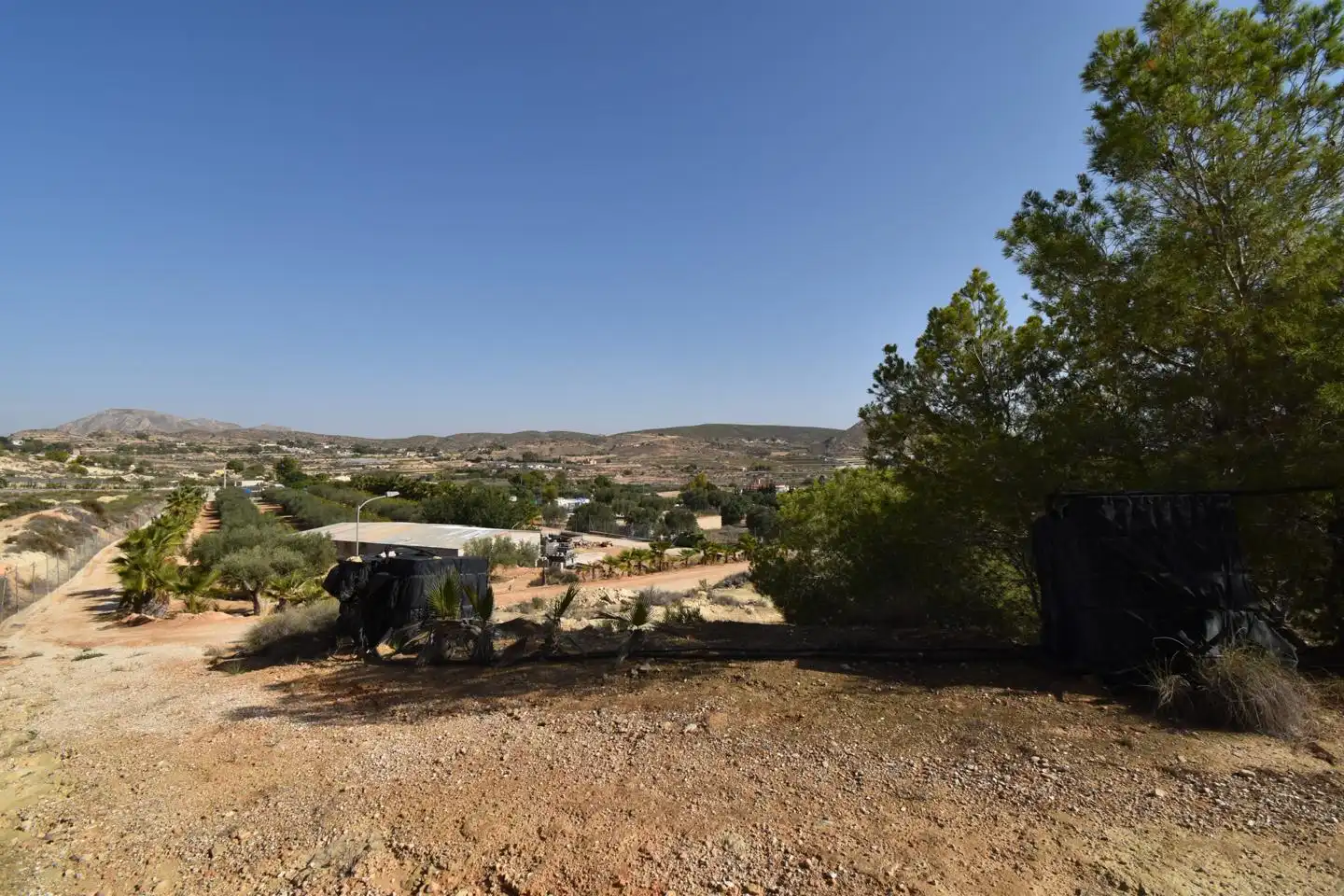 Rustikales Grundstück zum Verkauf in Partida Torrellano Alto, imagen 14