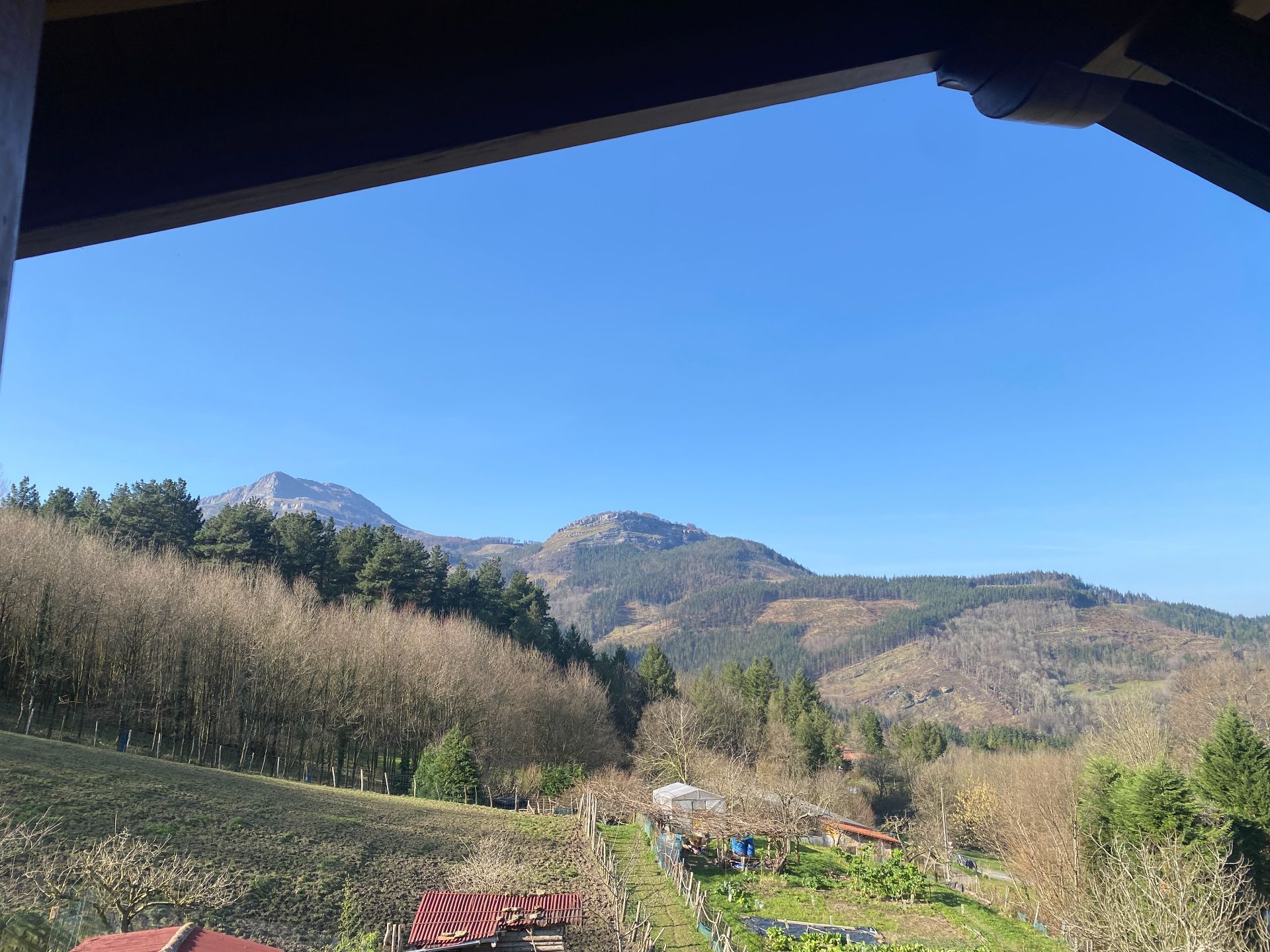 Exterior view of House or chalet for sale in Zeanuri