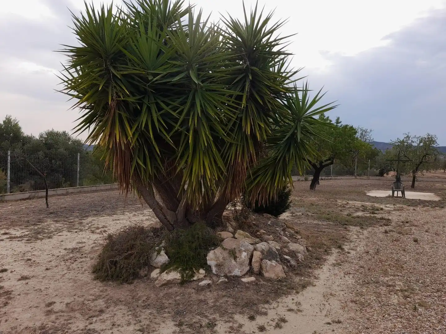 Country homes for sale in Garcia