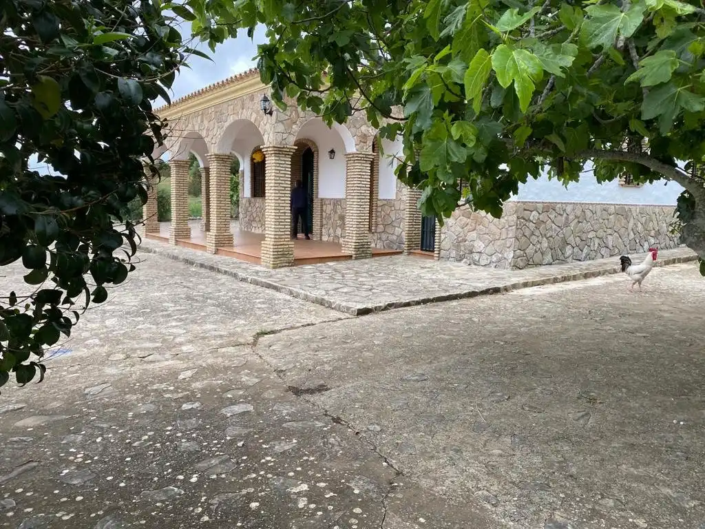 Vista exterior de Casa o chalet en venta en Medina Sidonia con Terraza y Amueblado