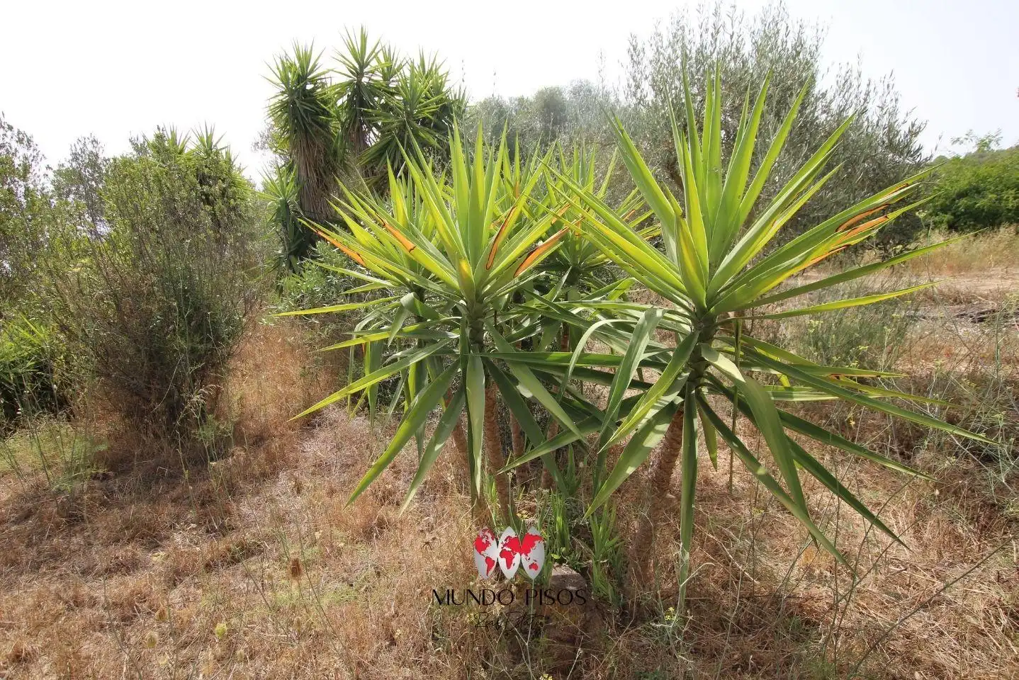 Finca rústica en venda en Santa Eugènia amb Calefacció, Jardí privat i Parquet