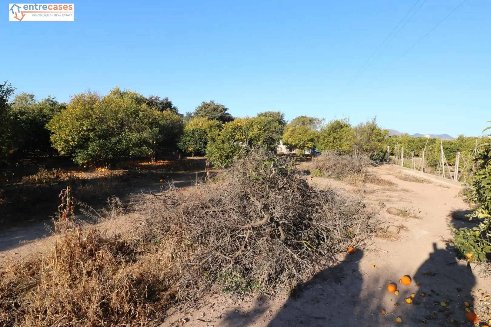 Rural land for sale in Canet d'En Berenguer, imagen 16