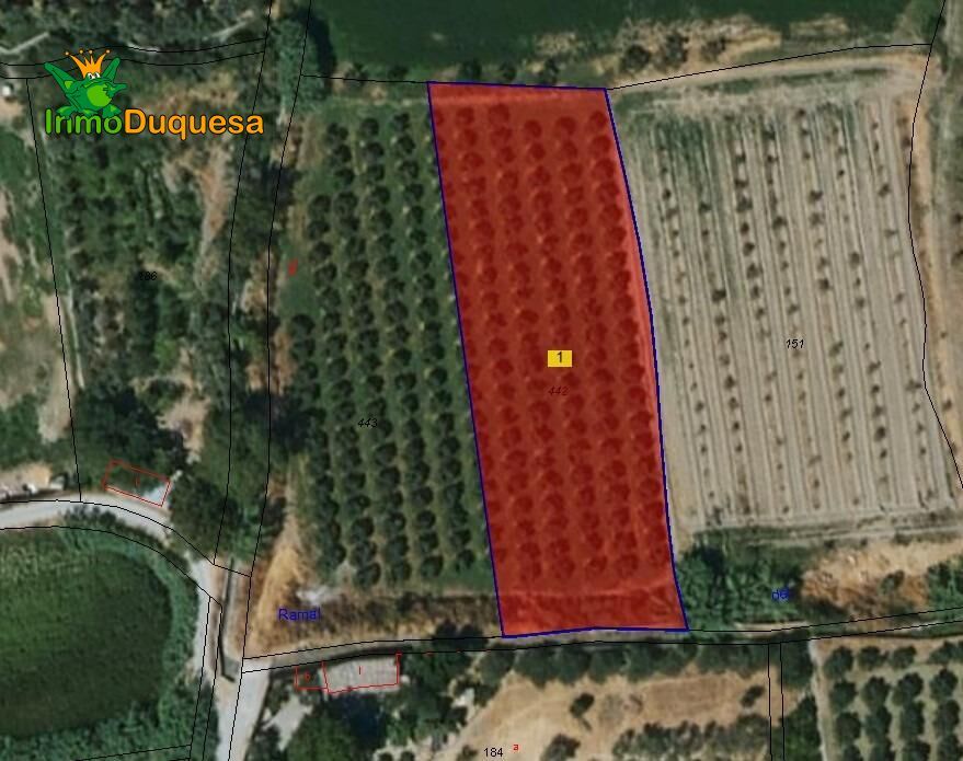 Terreno en venta en La Zubia