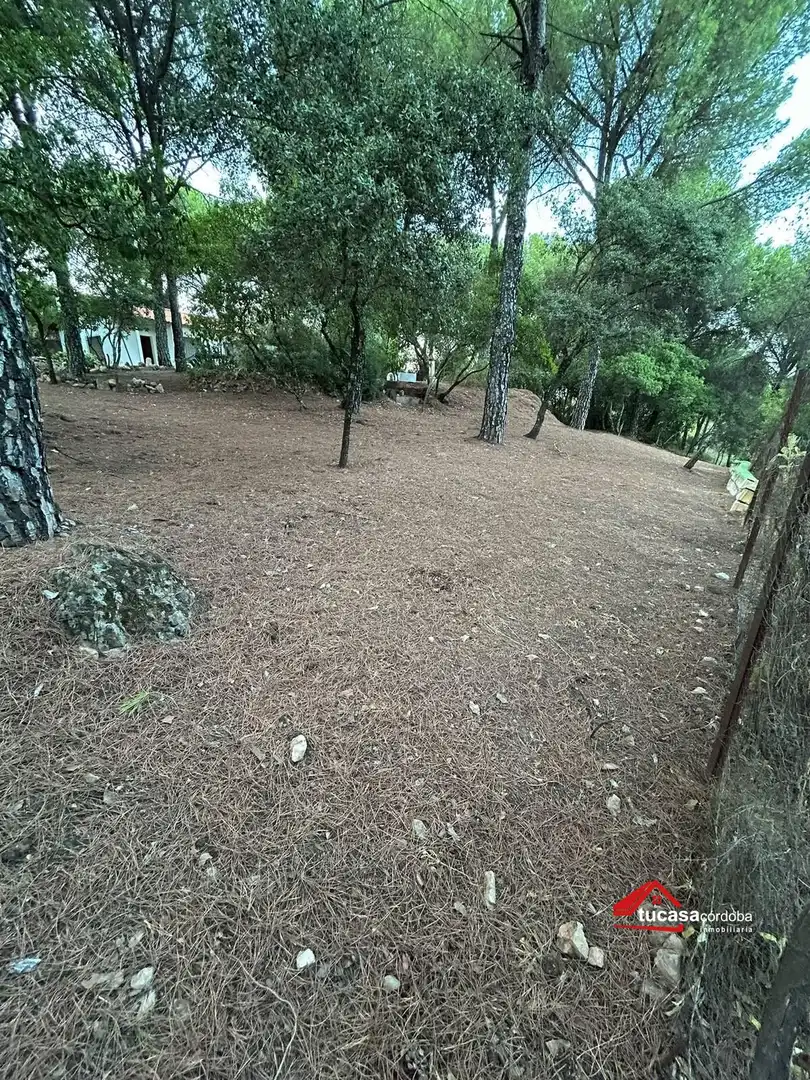 Casa rustica in vendita a Periurbano Oeste - Sierra, imagen 11
