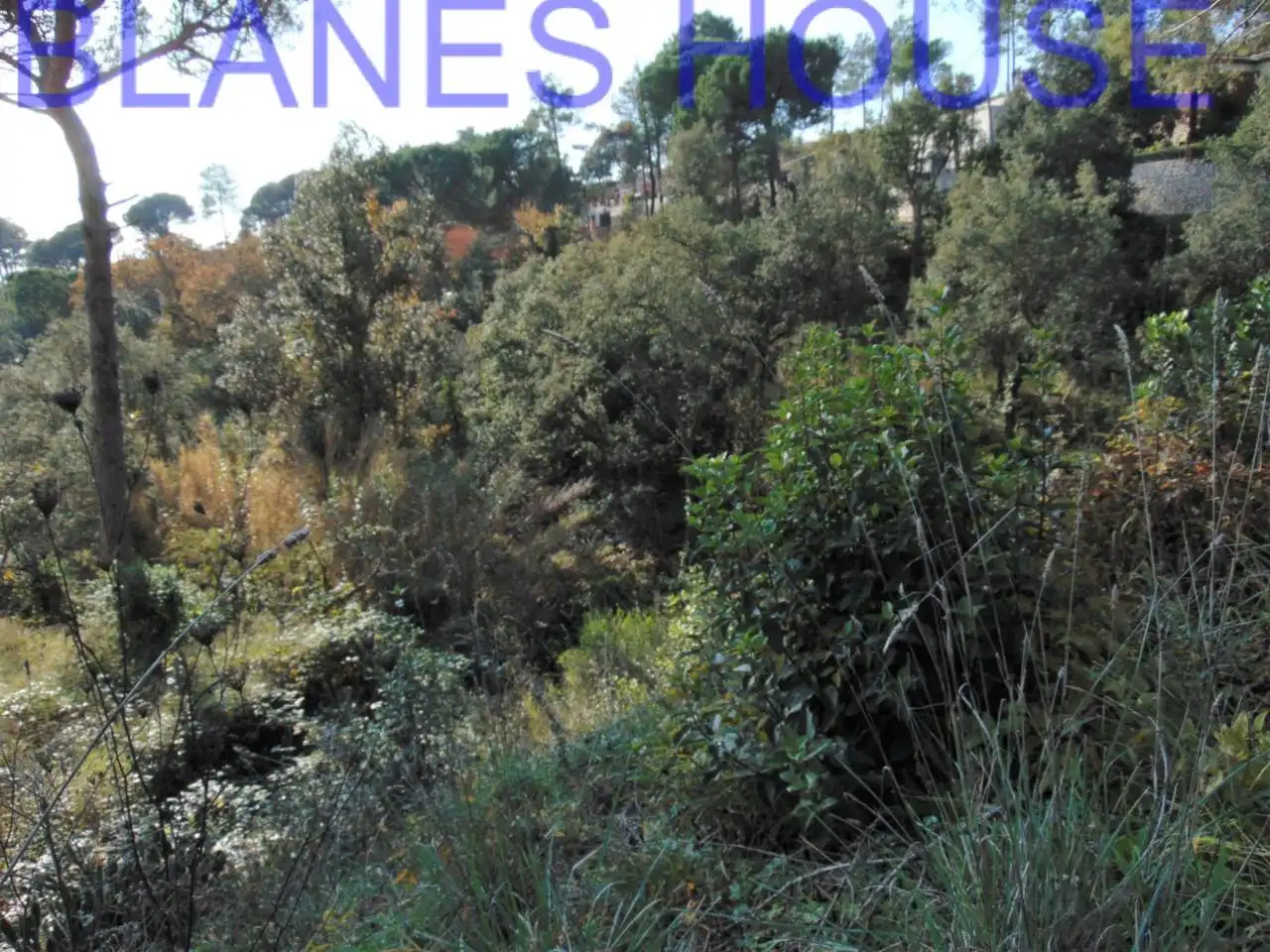 Terreno residencial en venta en Calle Madaleta, imagen 3