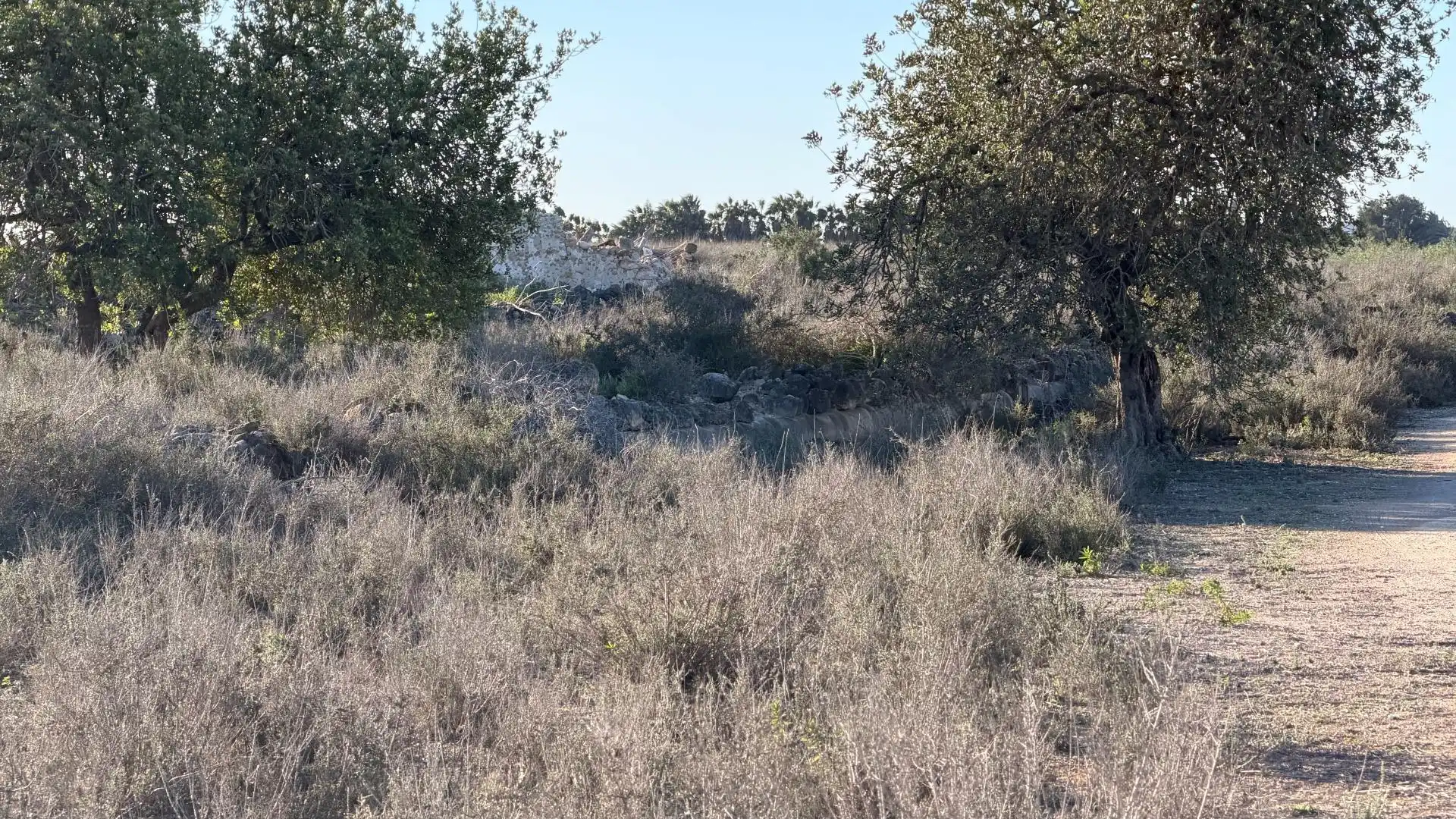 Terreno residencial en venta en La Marina, imagen 14