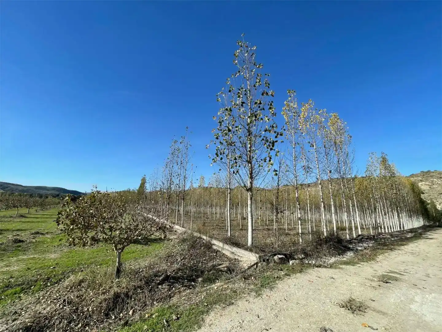Casa o chalet en venta en Cuevas Bajas con Aire acondicionado, Jardín privado y Amueblado
