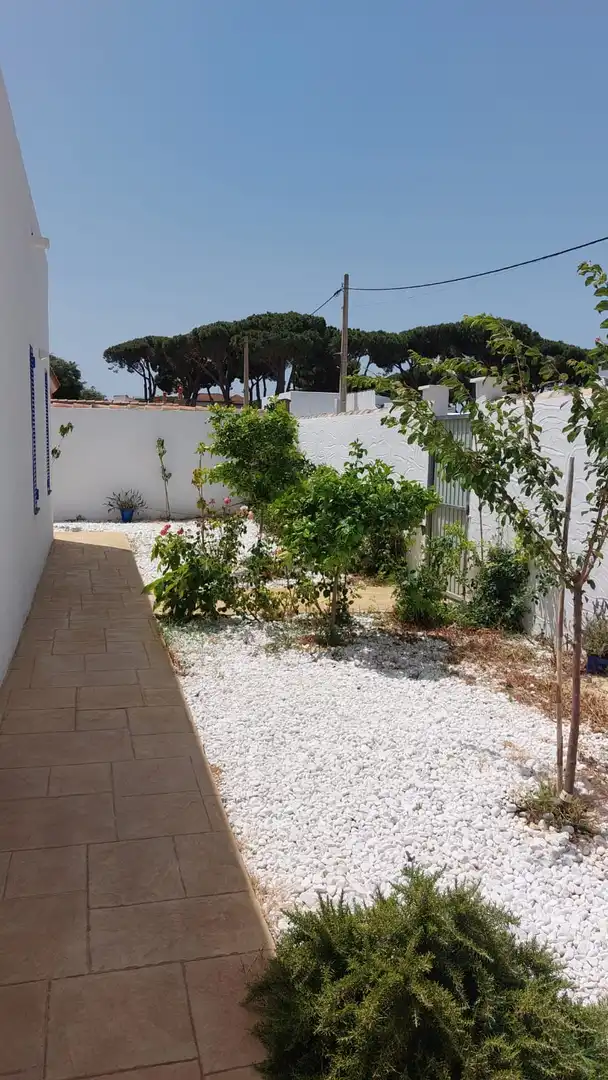 Garden of Houses for rent in Chiclana de la Frontera  with Air Conditioner, Private garden and Terrace