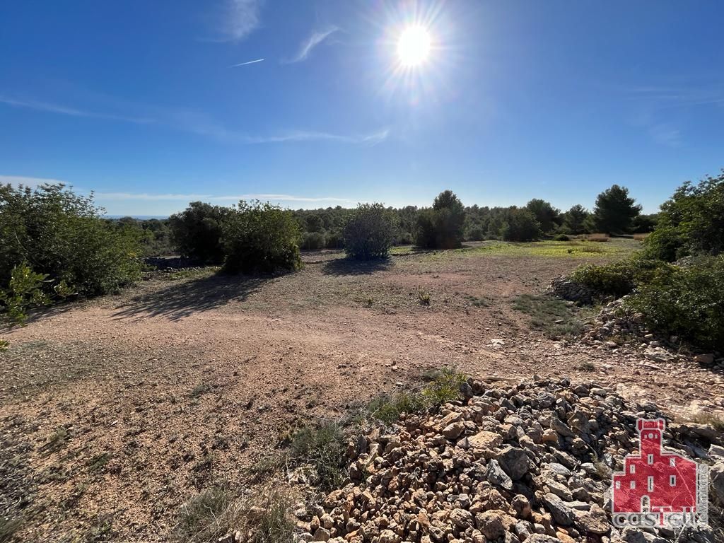 Land for sale in La Pobla de Montornès  