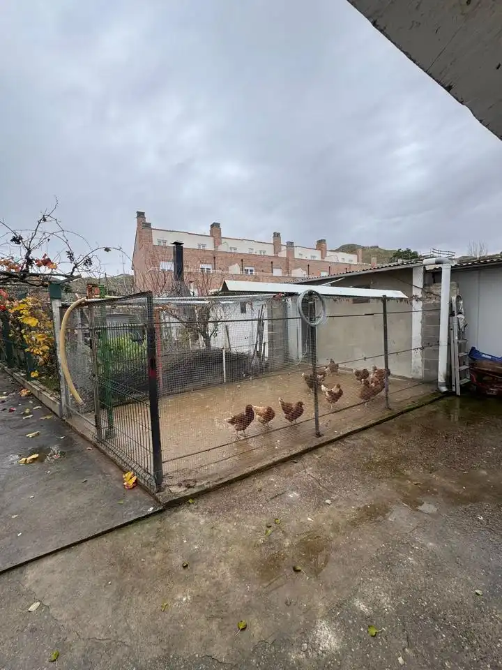 Vista exterior de Casa o xalet en venda en Cadrete amb Aire condicionat, Calefacció i Jardí privat